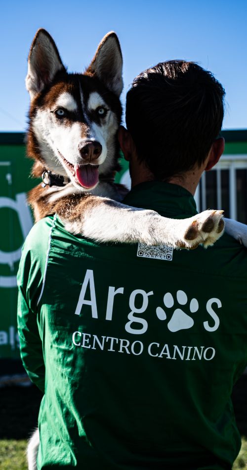 Entrenador de Argos Centro Canino sosteniendo a un Husky Siberiano con ojos bicolor, con el logo de Argos en su camiseta