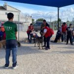 Formacion canina Cruz Roja